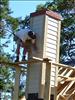 HardAtWork14